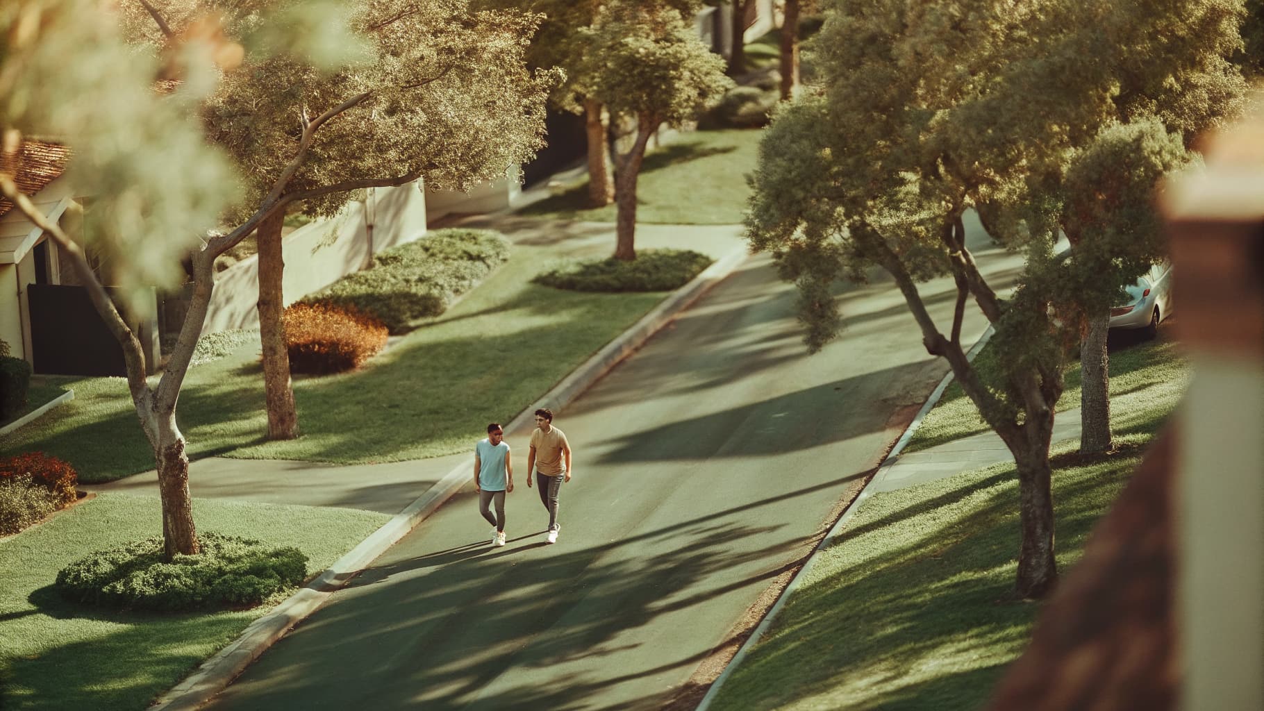 Beautiful green California neighborhood served by Alan d Yard Services