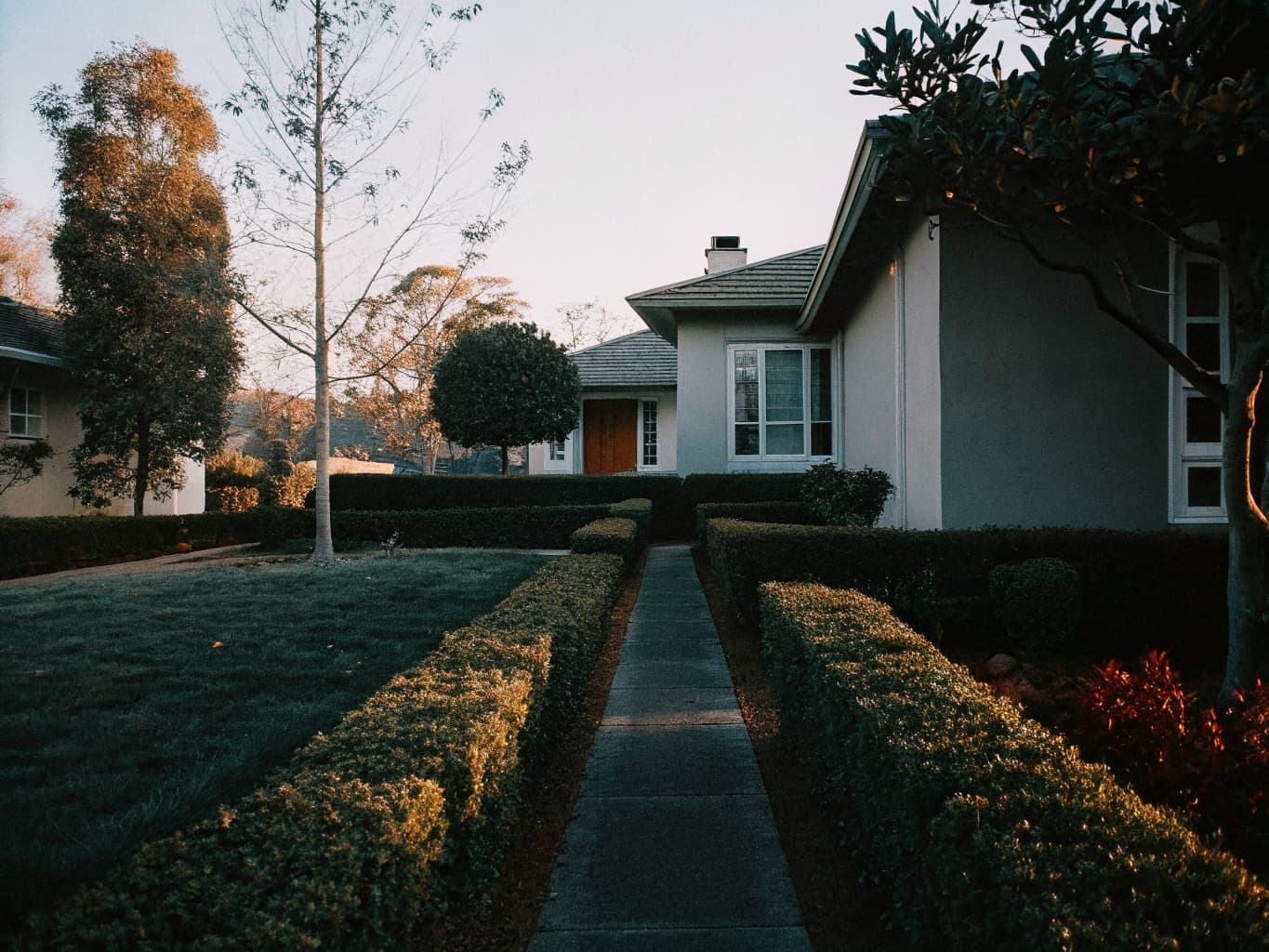 Pristine professionally maintained yard by Alan d Yard Services in Concord CA